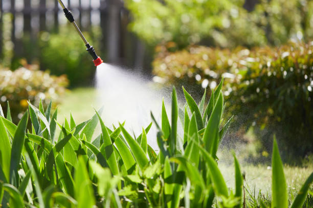 24/7 Emergency Mosquito Control experts in Westmere, NY